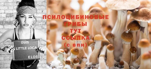 героин Алексин