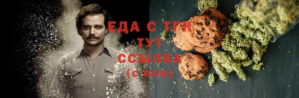 тгк Алзамай