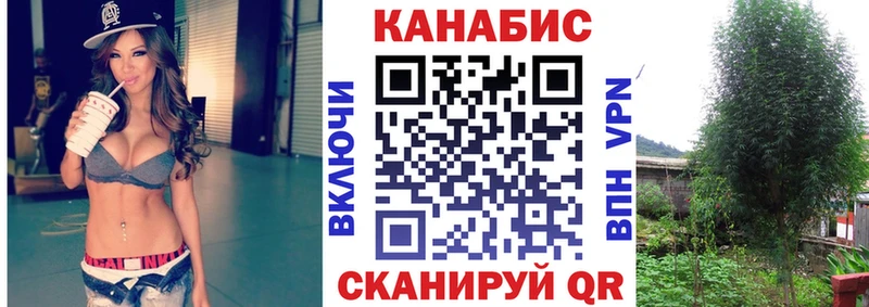 Шишки марихуана планчик  Аргун 